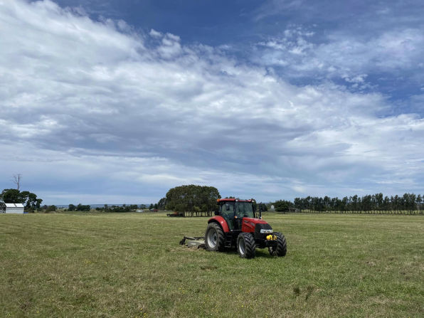 image of grass & paddock slashing
